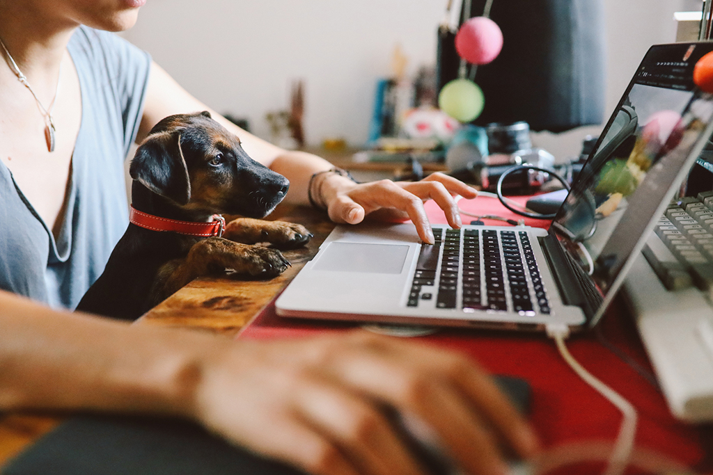 El gran experimento de trabajar desde casa:  Cómo COVID-19 está acelerando el futuro del trabajo